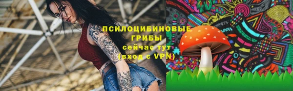 прущая мука Бугульма