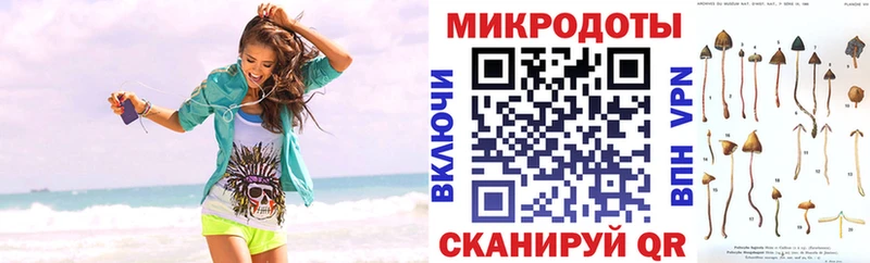 где найти   Очёр  Галлюциногенные грибы Psilocybine cubensis 